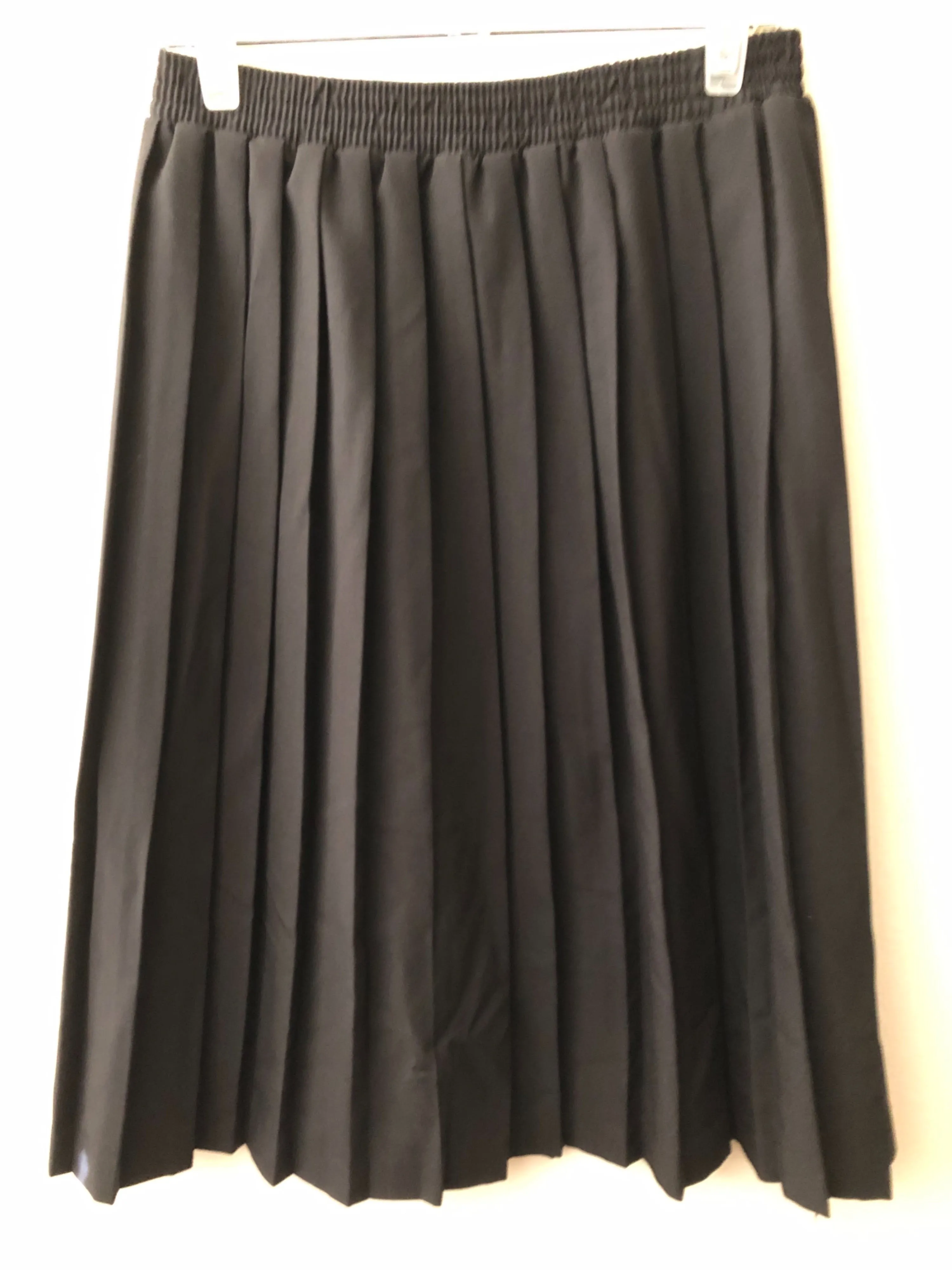 '80s Dark Academia Black Accordion Pleated Midi Skirt by Cricket Lane