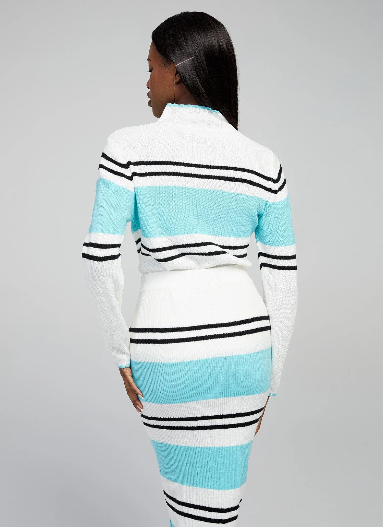 Faye Color Block Rib Knit Skirt